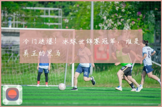 冷门迭爆!冰球世锦赛冠军,谁是真正的黑马