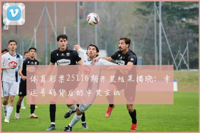 体育彩票25116期开奖结果揭晓：幸运号码背后的中奖玄机